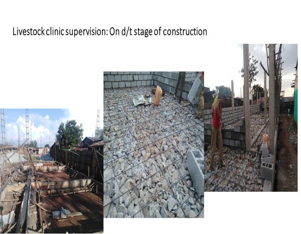 Livestock clinic supervision- On differentt stage of construction